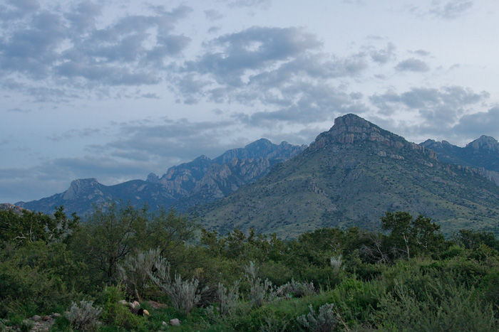 Chiricahua Mountains