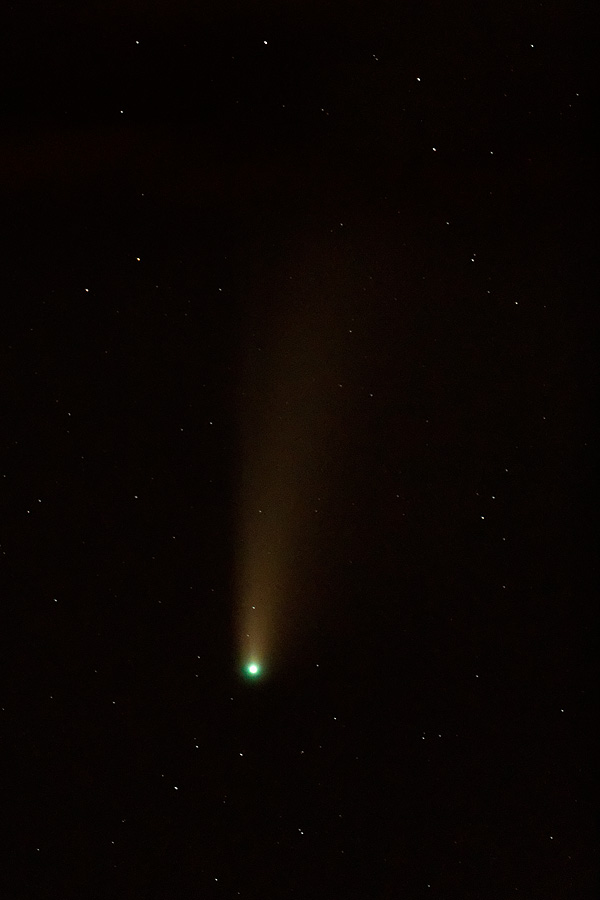 Comet NEOWISE