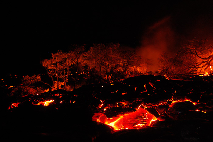 Forest Fire amidst Lava