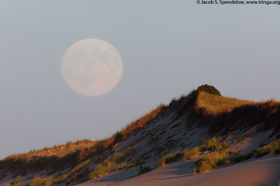 Moonrise