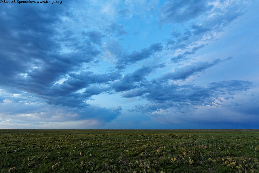 Pawnee Grasslands