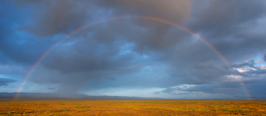 Rainbow