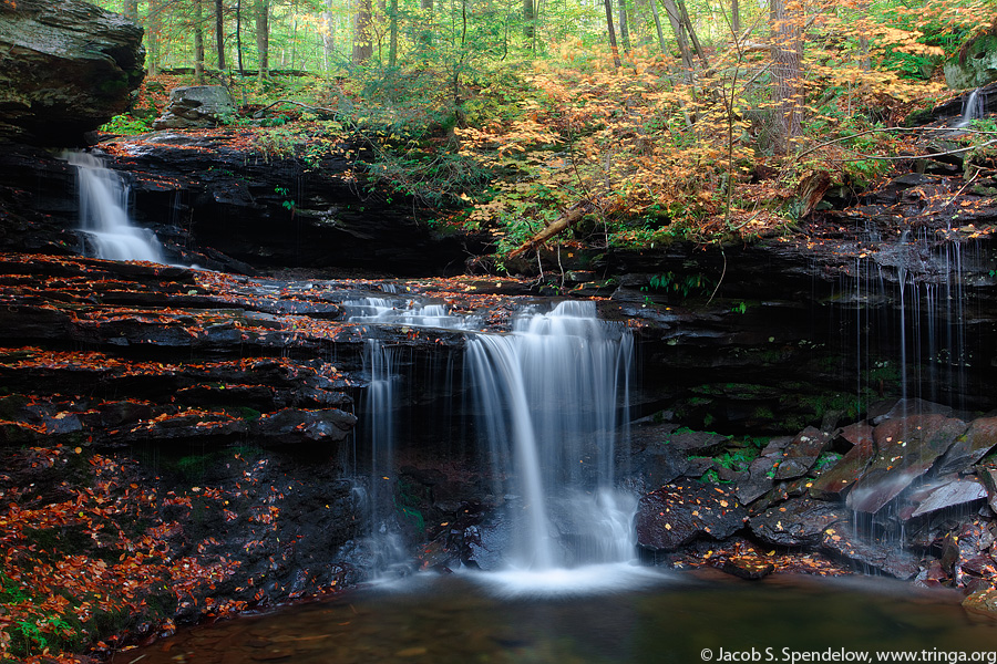 RB Ricketts Falls, Ricketts Glen