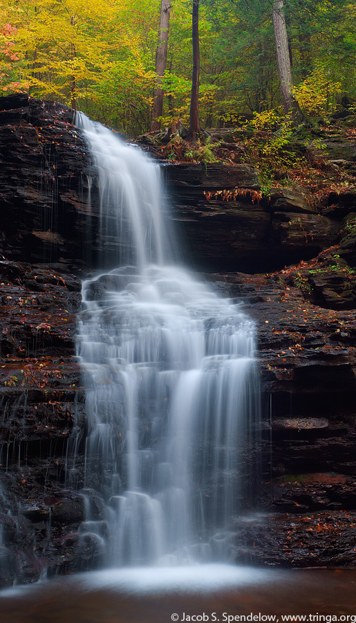 Shawnee Falls, Ricketts Glen