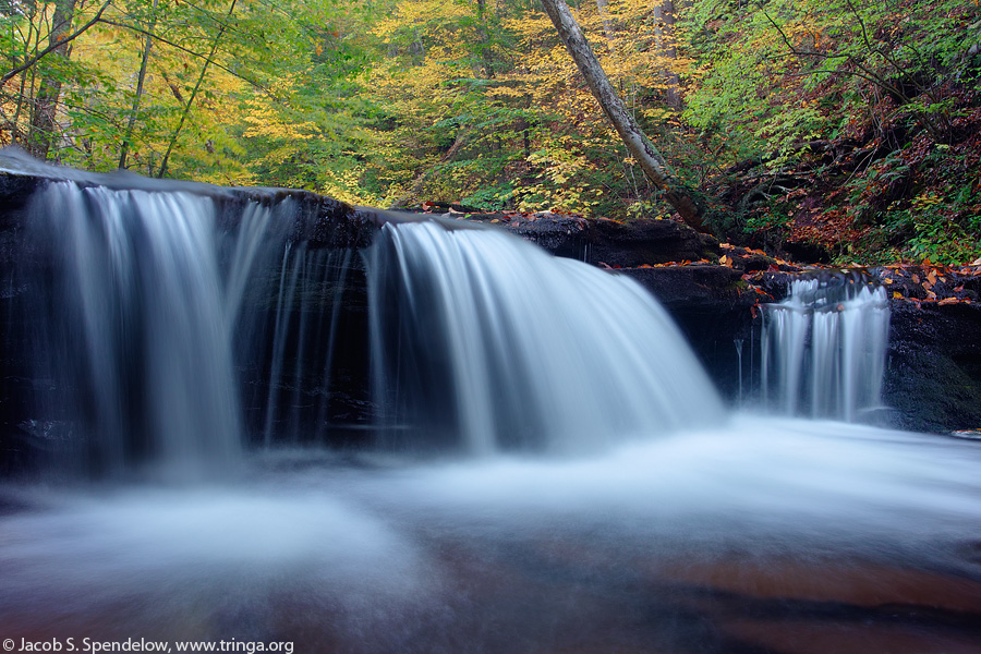 Ricketts Glen