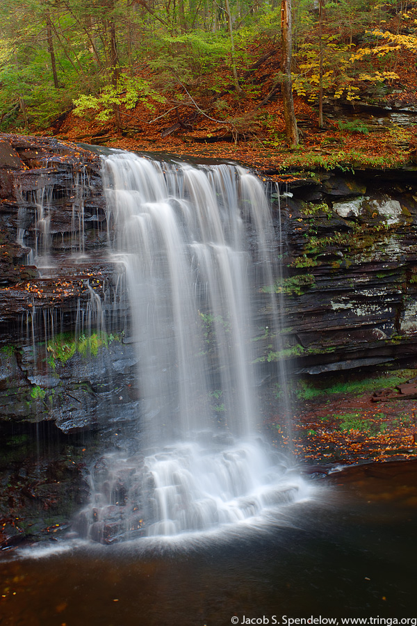 Harrison Wrights Falls, Ricketts Glen