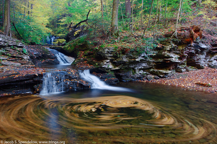 Ricketts Glen