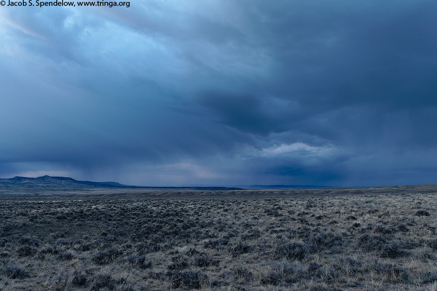 Sagebrush Twilight