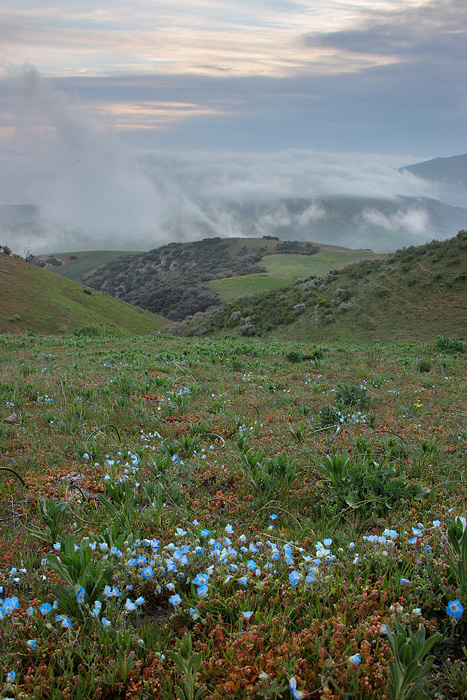 San Emigdio Mountains