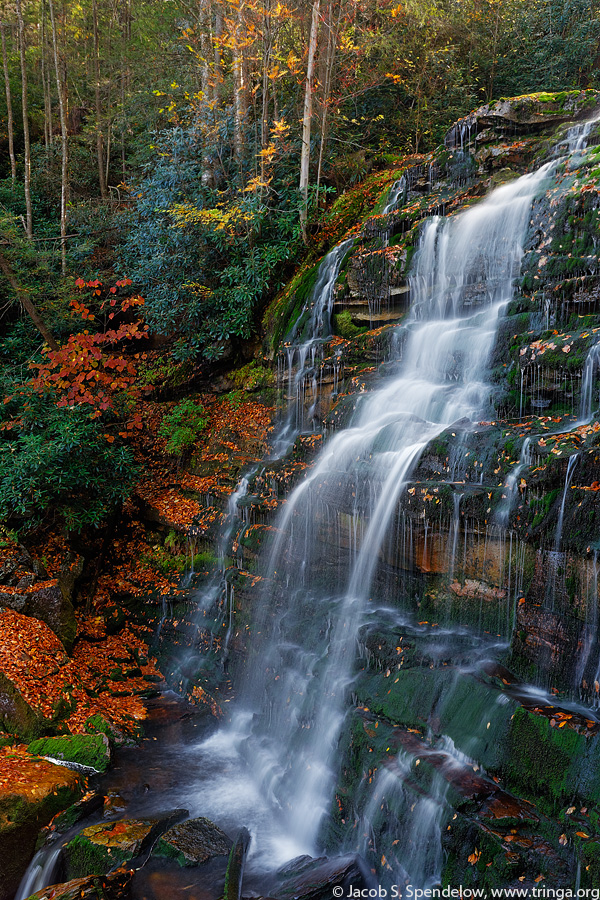 Third Elakala Falls