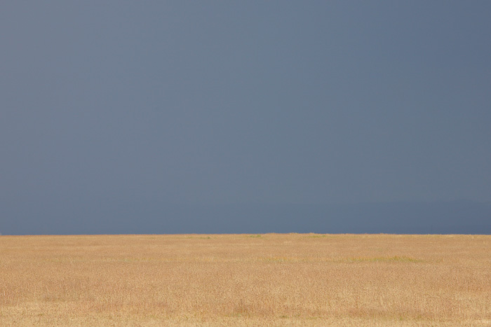 Distant Thunderstorm