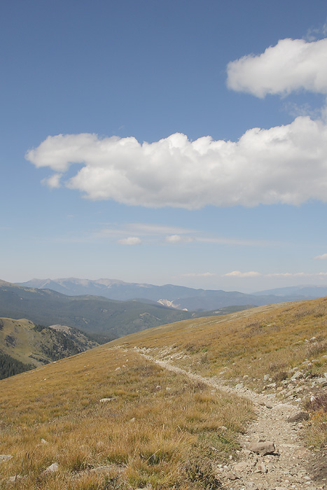 Wheeler Peak Wilderness