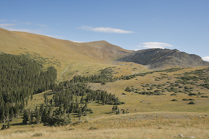 Wheeler Peak Wilderness