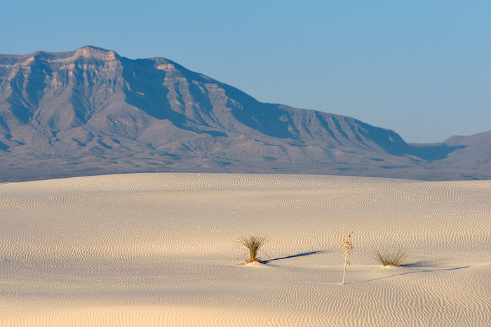 White Sands