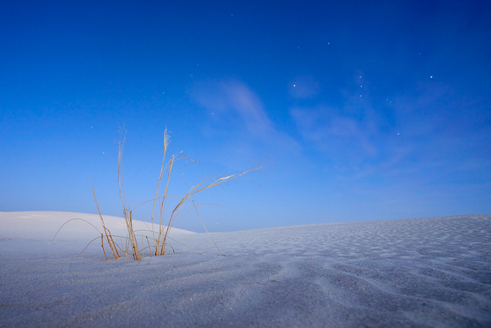 Twilight in White Sands