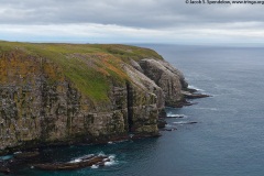 Cape St. Mary's