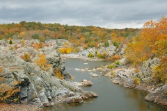 Fall Colors