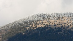 Jemez Mountains