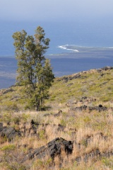 View from Hawai'i Volcanoes NP