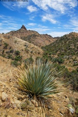 Pajarito Mountains