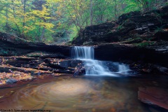 Ricketts Glen