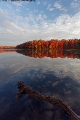 Ricketts Glen