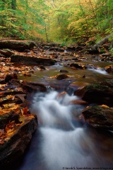 Ricketts Glen