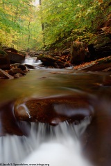 Ricketts Glen