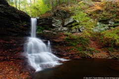 Sheldon Reynolds Falls, Ricketts Glen