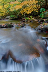 Ricketts Glen