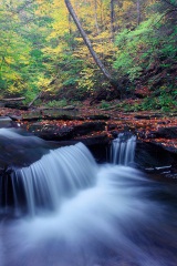 Ricketts Glen