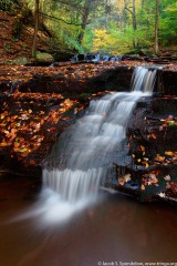 Ricketts Glen