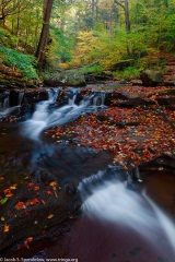 Ricketts Glen