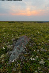 Sunrise at Cape St. Mary's