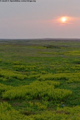 Sunrise at Cape St. Mary's