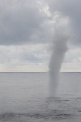 Volcanic Steam Spout