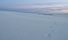 White Sands