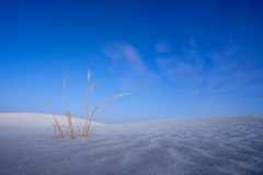 Twilight in White Sands