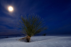 Twilight in White Sands